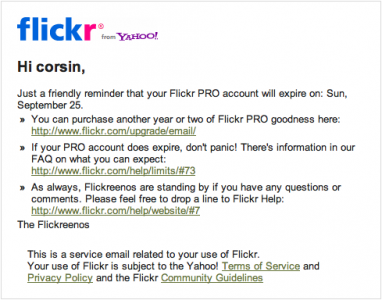 flickr pro cost